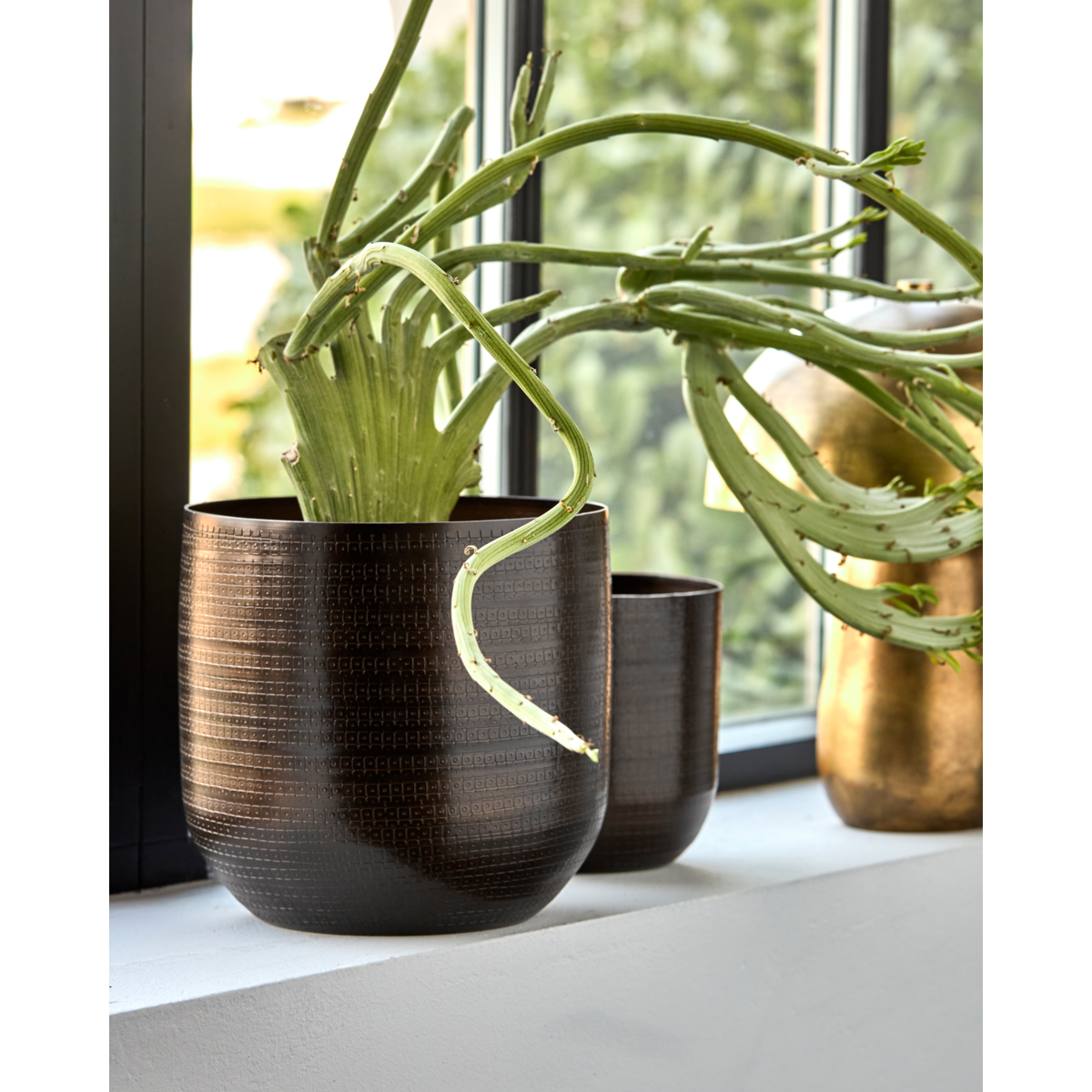 Pote de ervas, Hdiren, Antique Brown