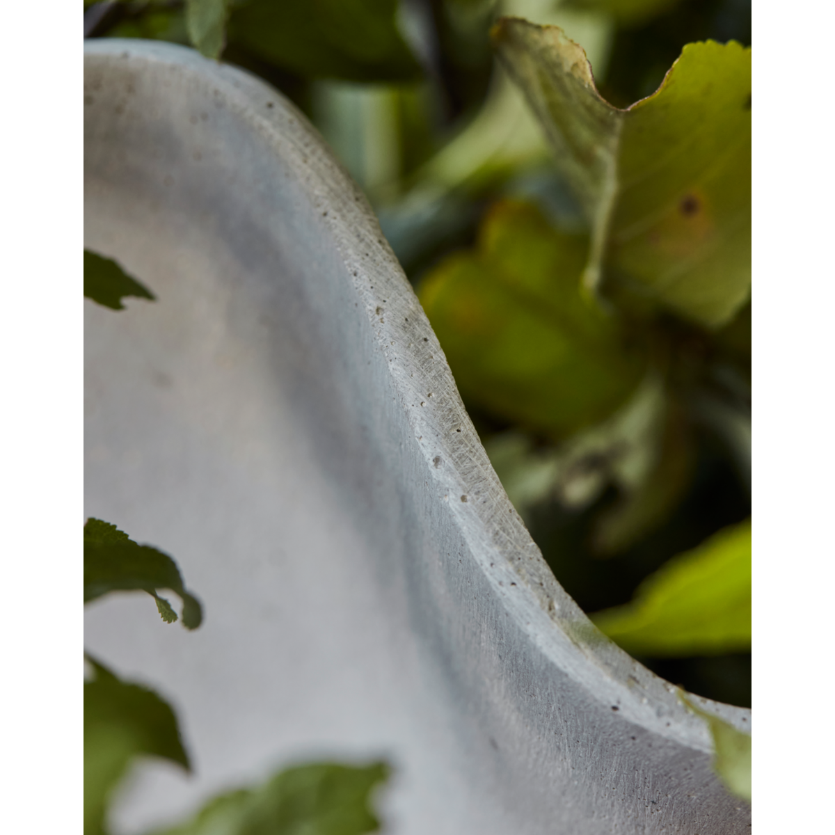 Pote de ervas, hdvaso, cinza