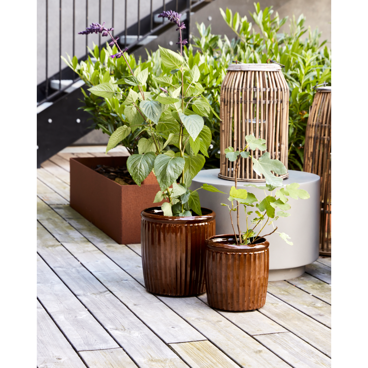 Pote de ervas, Hdgroove, Brown