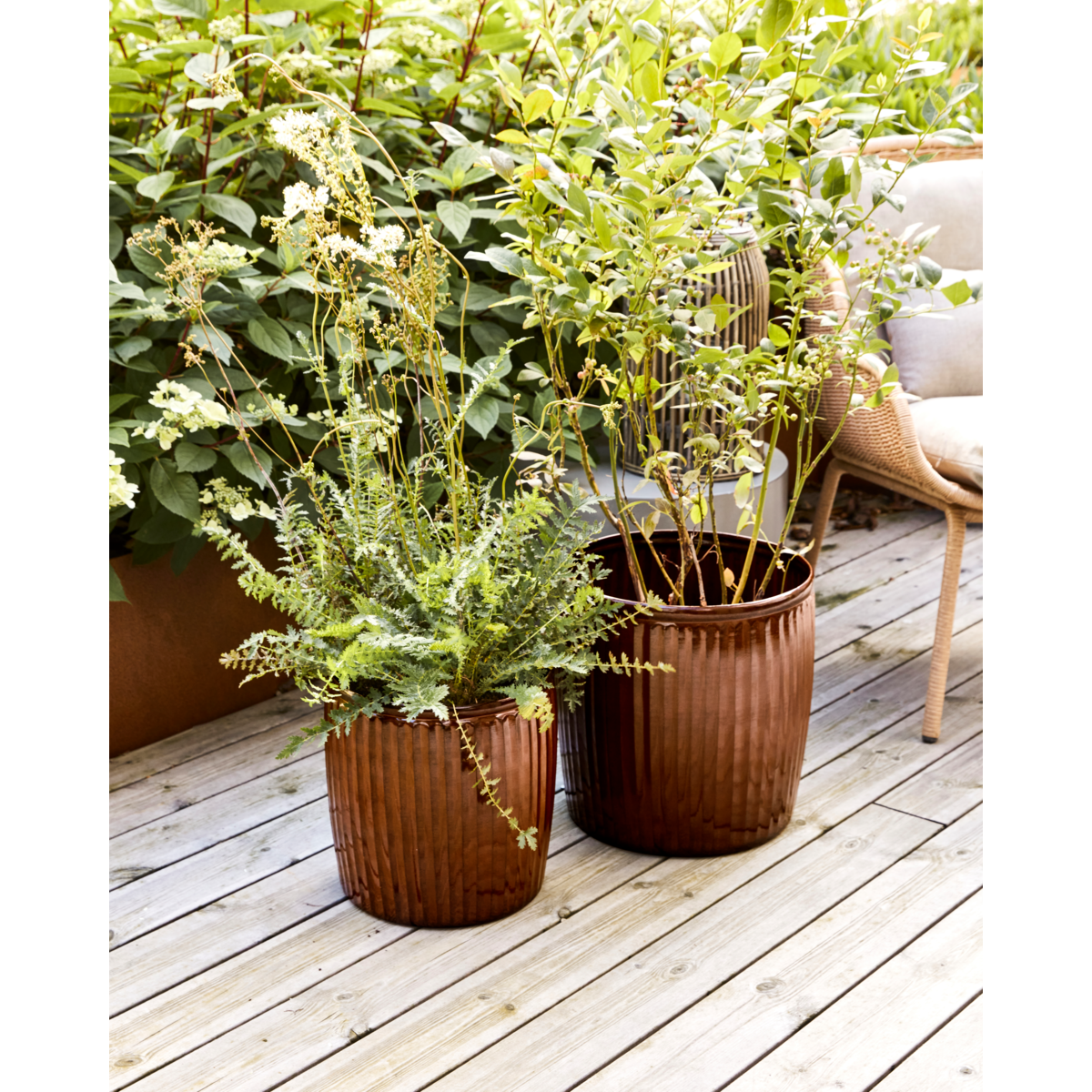 Pote de ervas, Hdgroove, Brown
