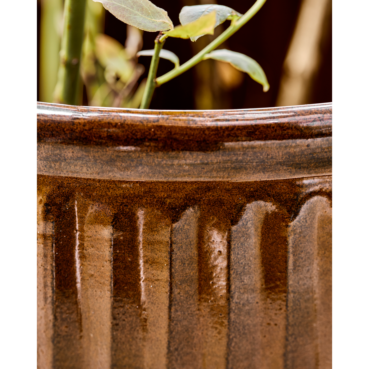 Pote de ervas, Hdgroove, Brown