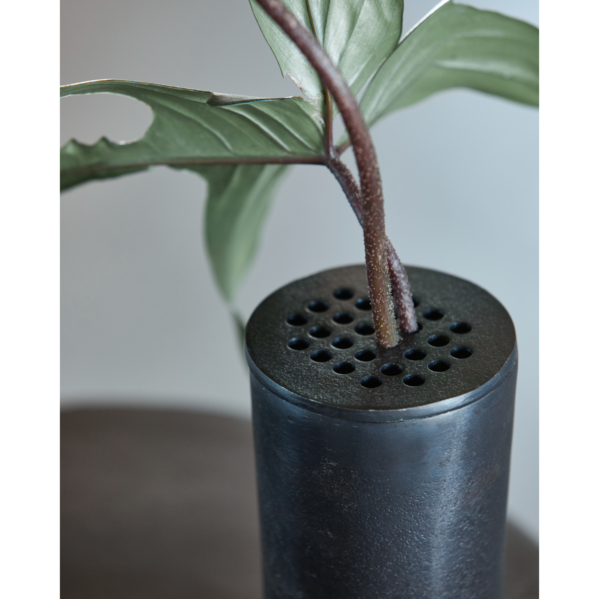 Vaso, fluxo hd, bronze dourado