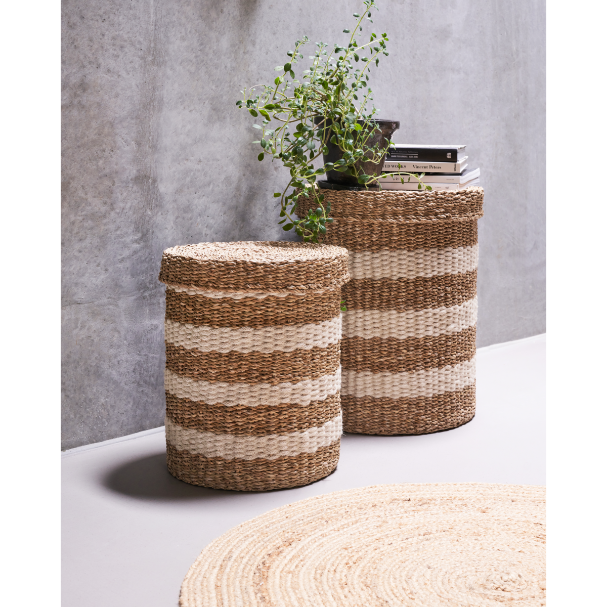 Curva de armazenamento, hdgeet, natureza; Marrom