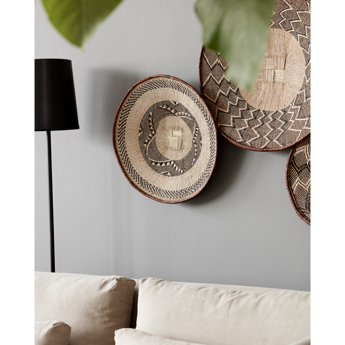 Cesta, hdtonga, natureza