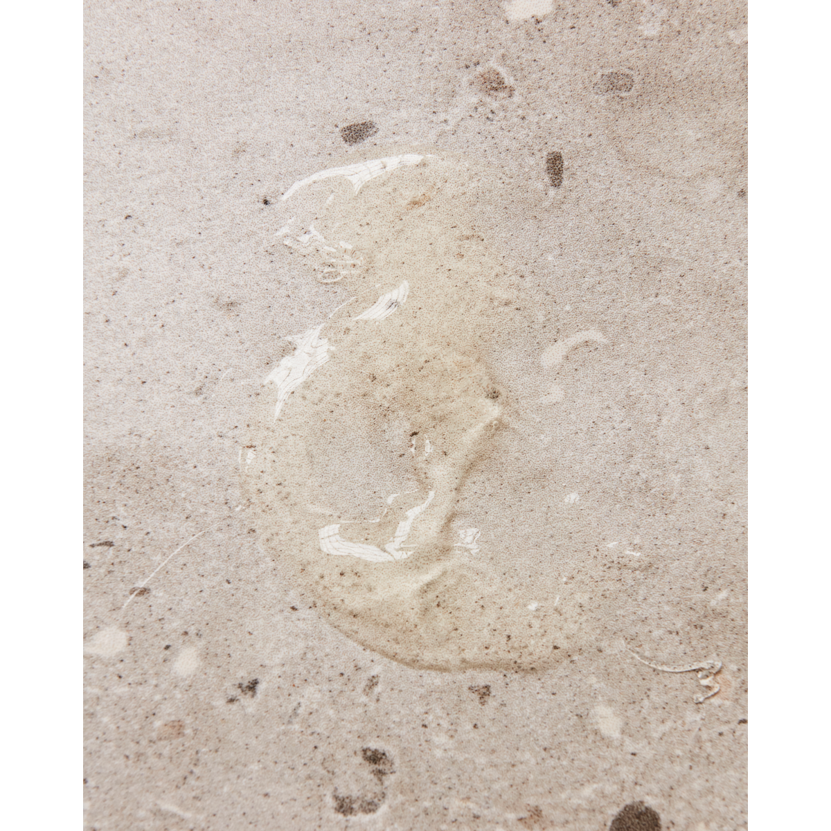 Sabão de mão, felicidade de prado, marrom