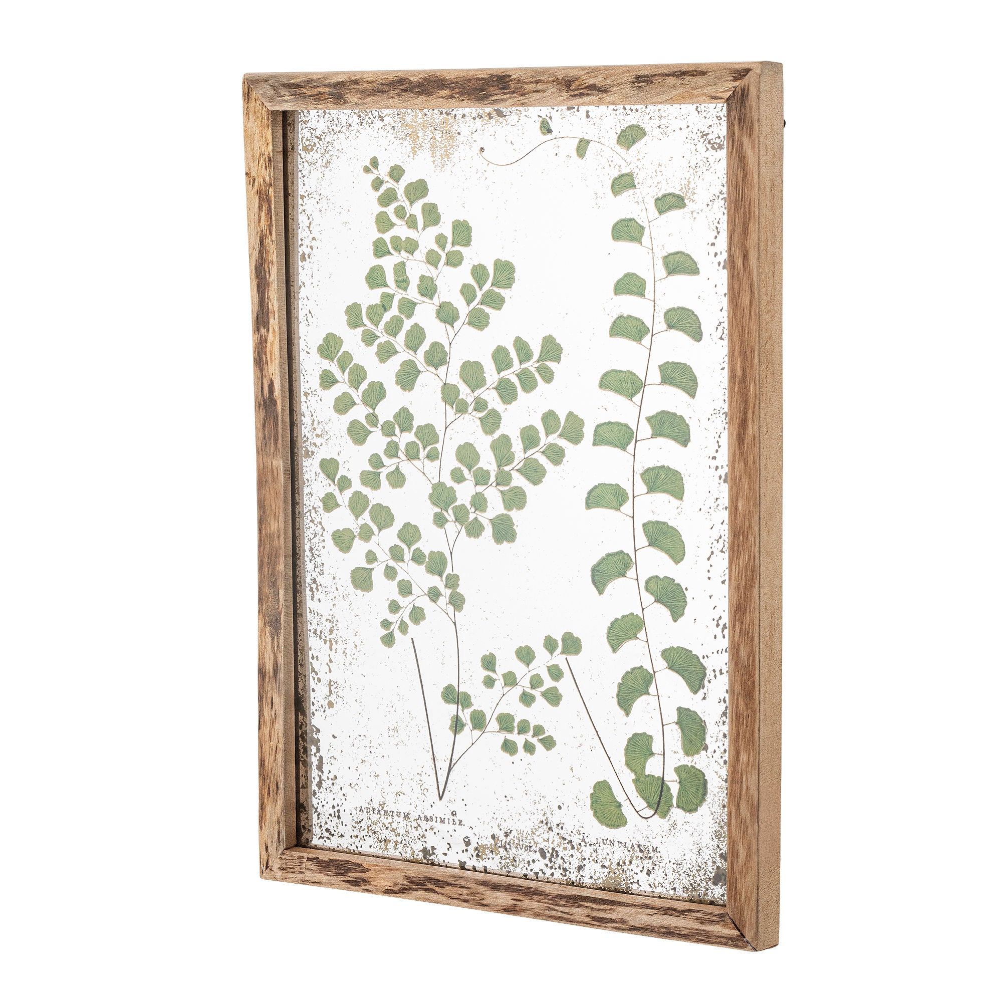 Coleção criativa Ilustração de Tipper com quadro, natureza, pinheiro