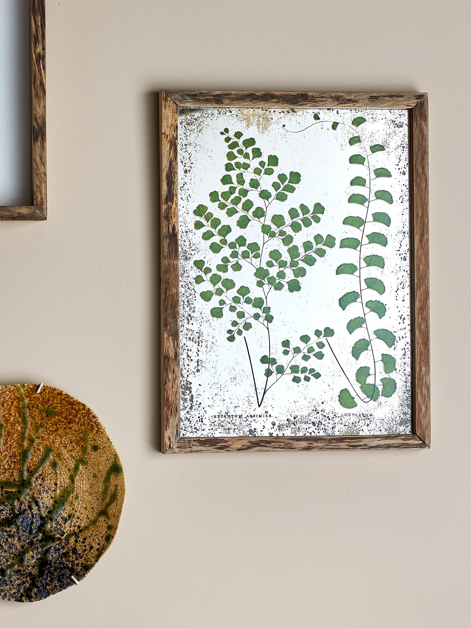 Coleção criativa Ilustração de Tipper com quadro, natureza, pinheiro