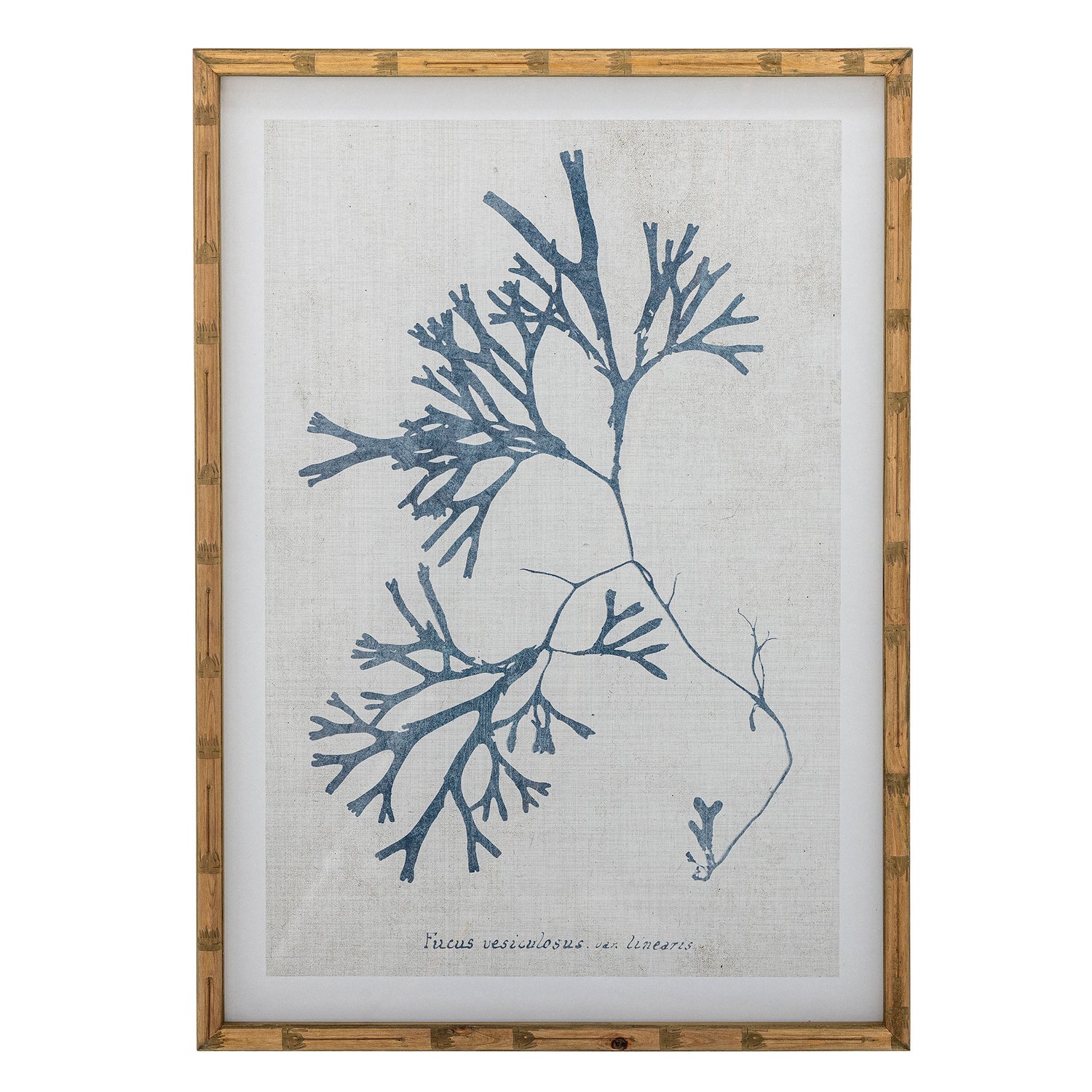 Coleção criativa Sumner Ilustração com quadro, natureza, pinheiro