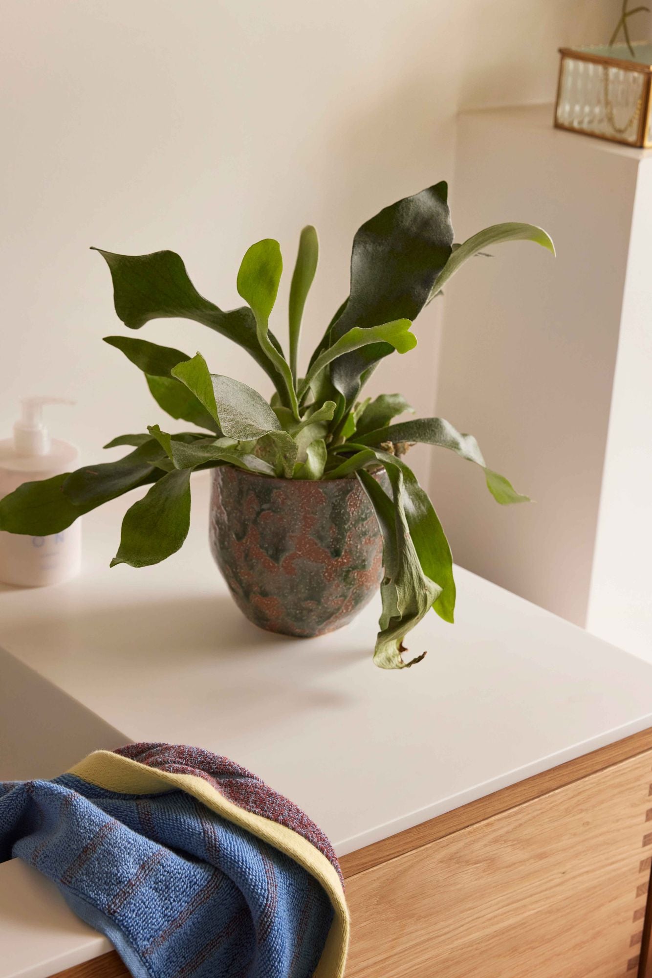 Hübsch Normu Potte Brown/Green (conjunto de 2)