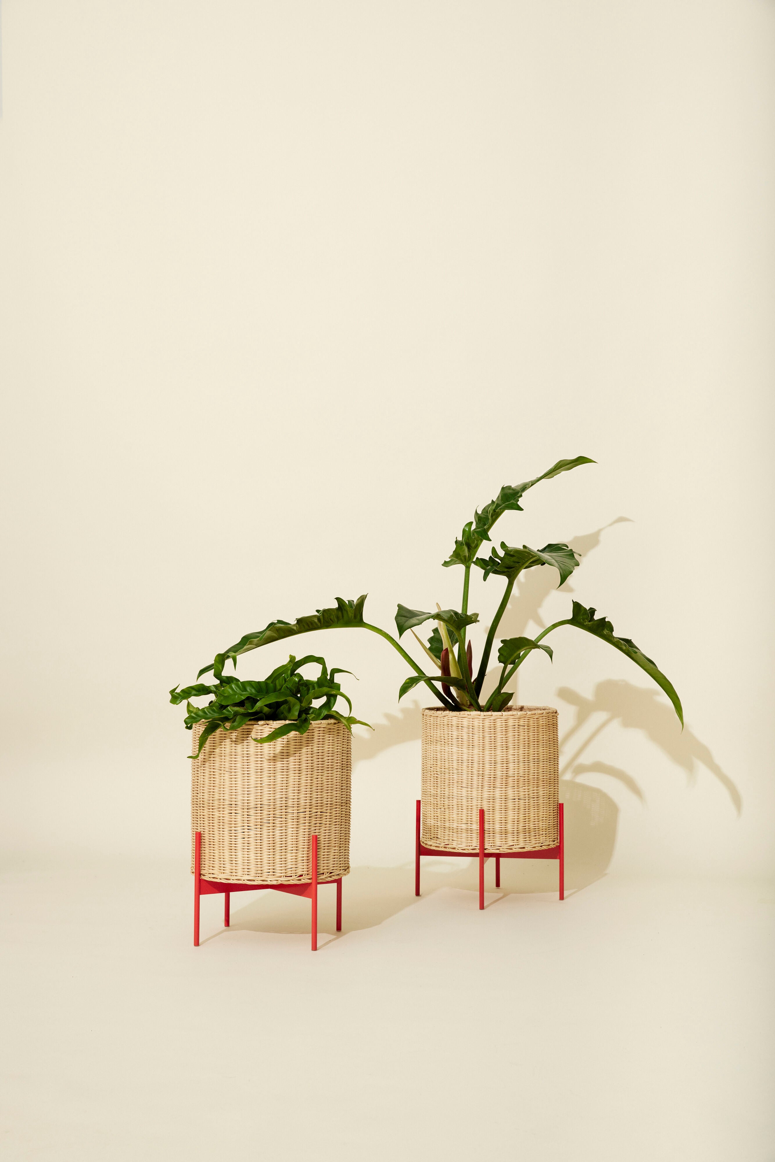 Tala Pote Natureza/Vermelho - ø30xh40cm