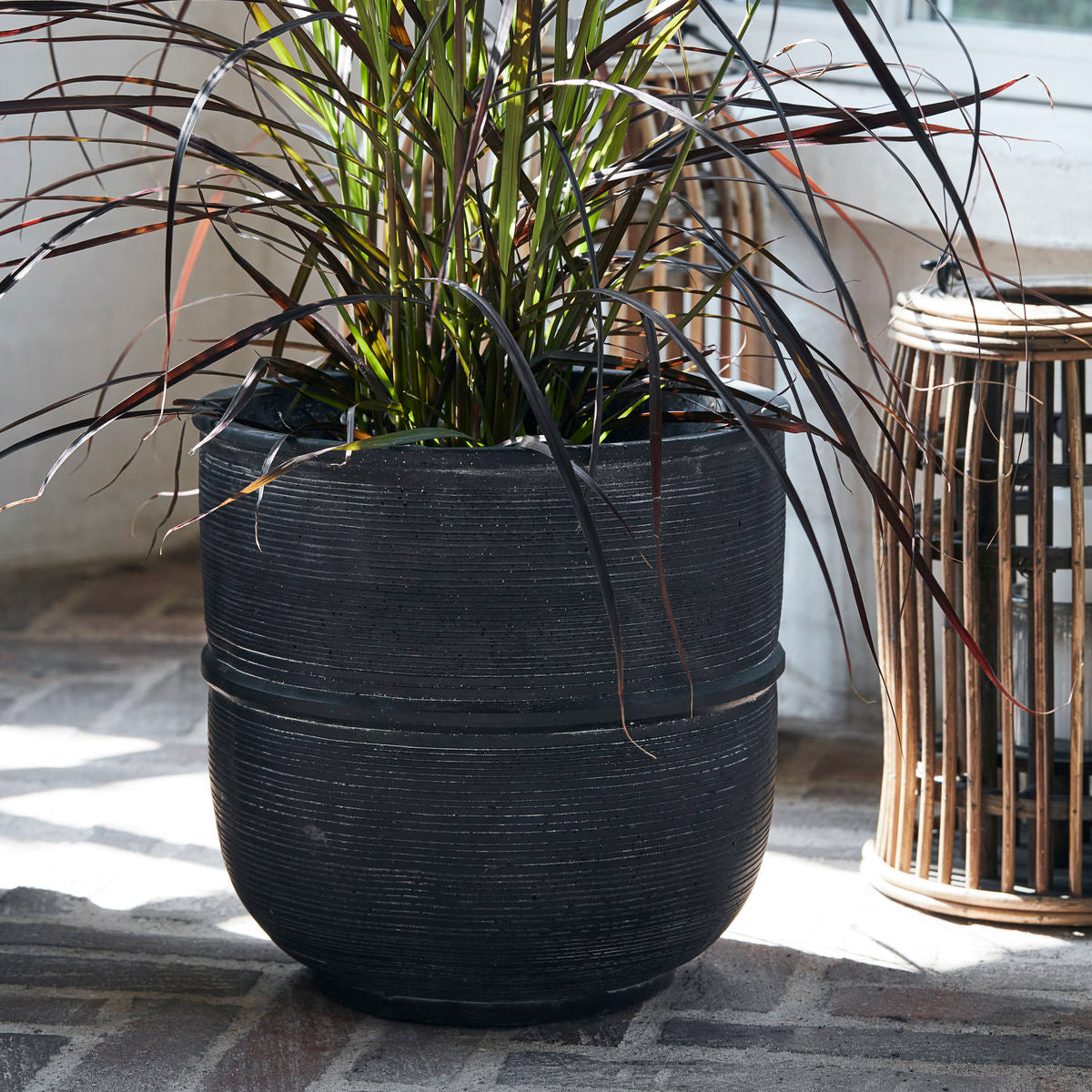 Médico da casa - Pote de ervas, terra, concreto - H: 28 cm, dia: 28 cm