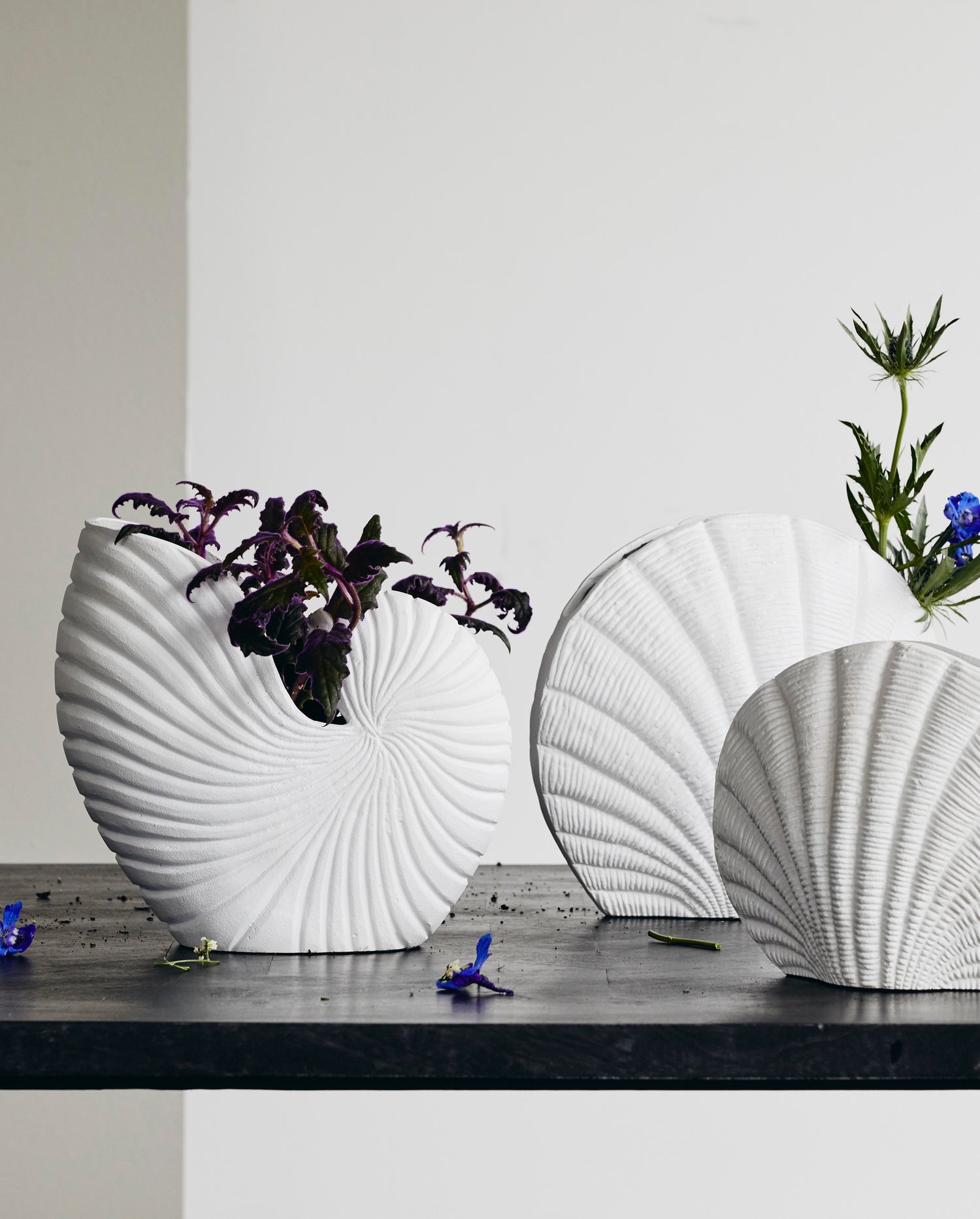 Vaso de flor Rakitu - Conch - H25 cm - branco