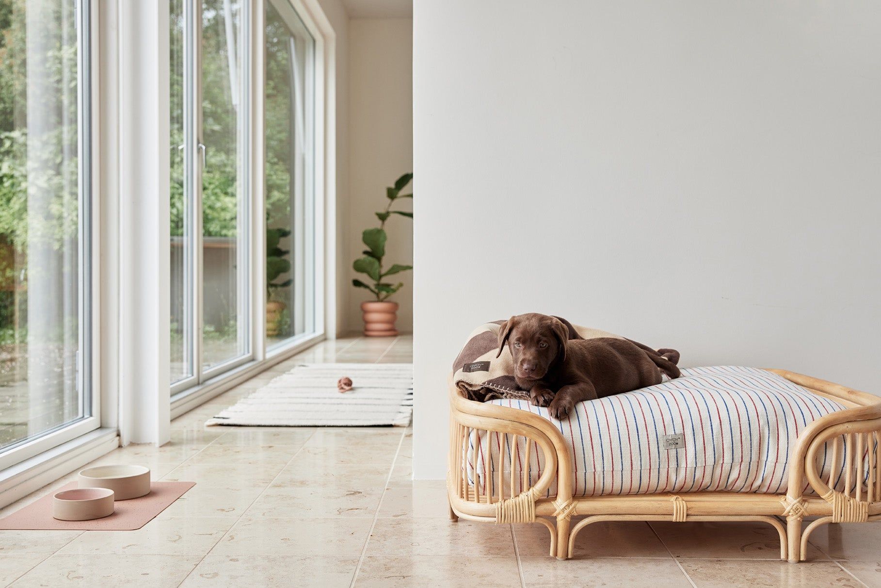 Oyoy Zoo Kaya Dog Clanta - Médio