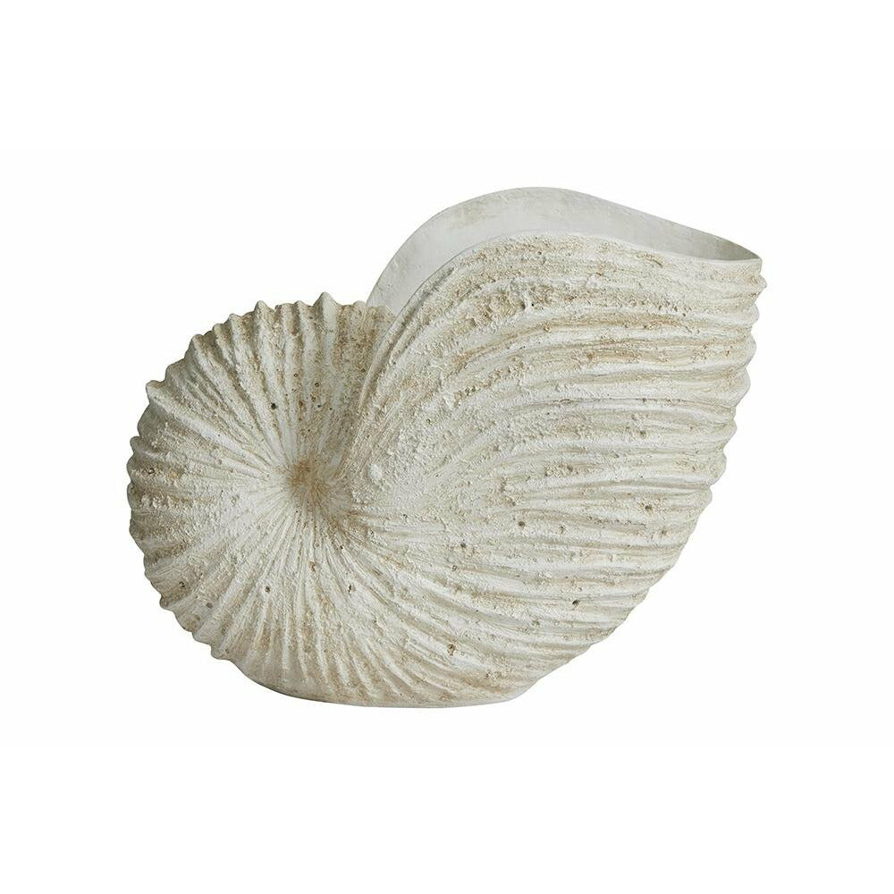 Conch Ketoy para decoração - H41 cm - branco