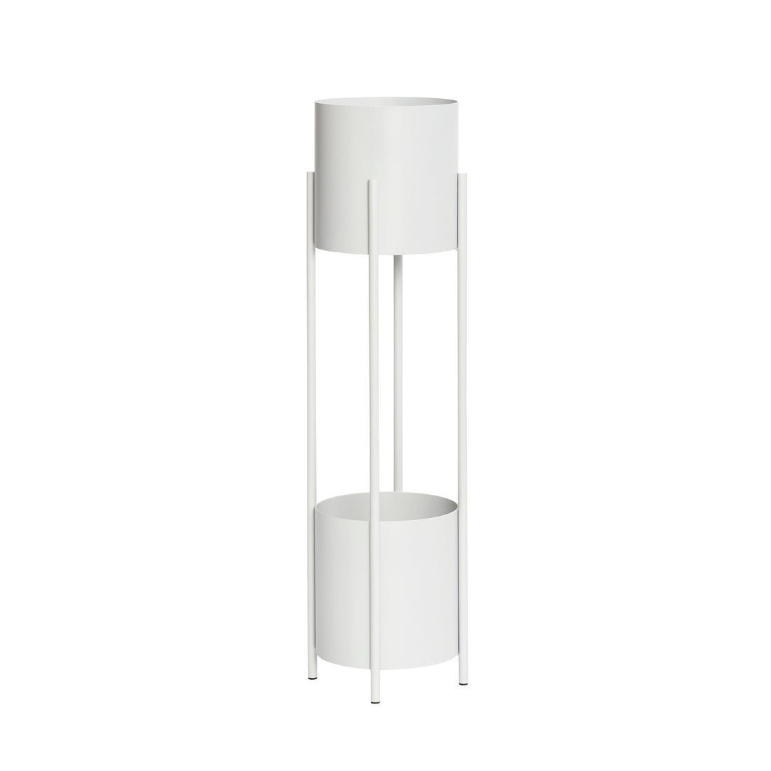 Planta de íris fica cinza claro - Ø28xh100cm