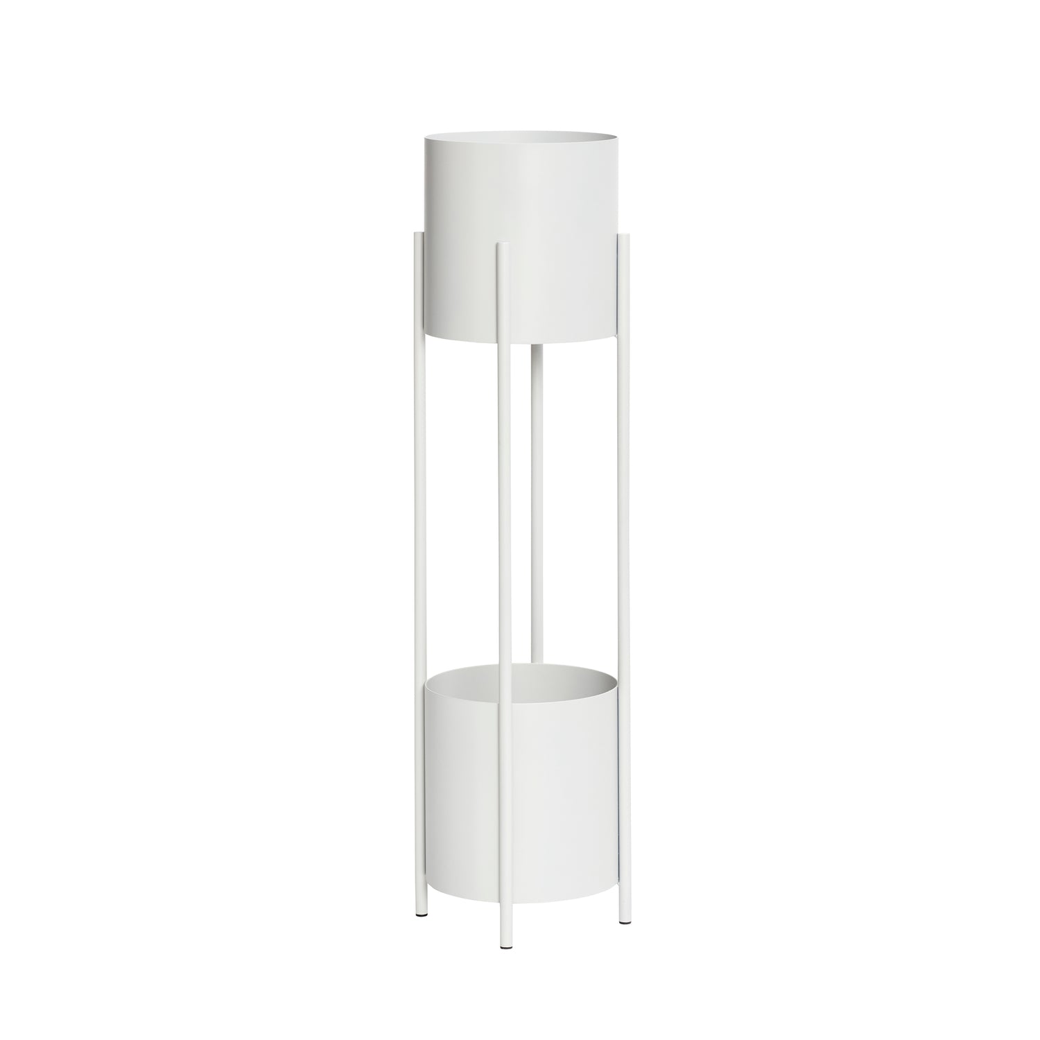 Planta de íris fica cinza claro - Ø28xh100cm