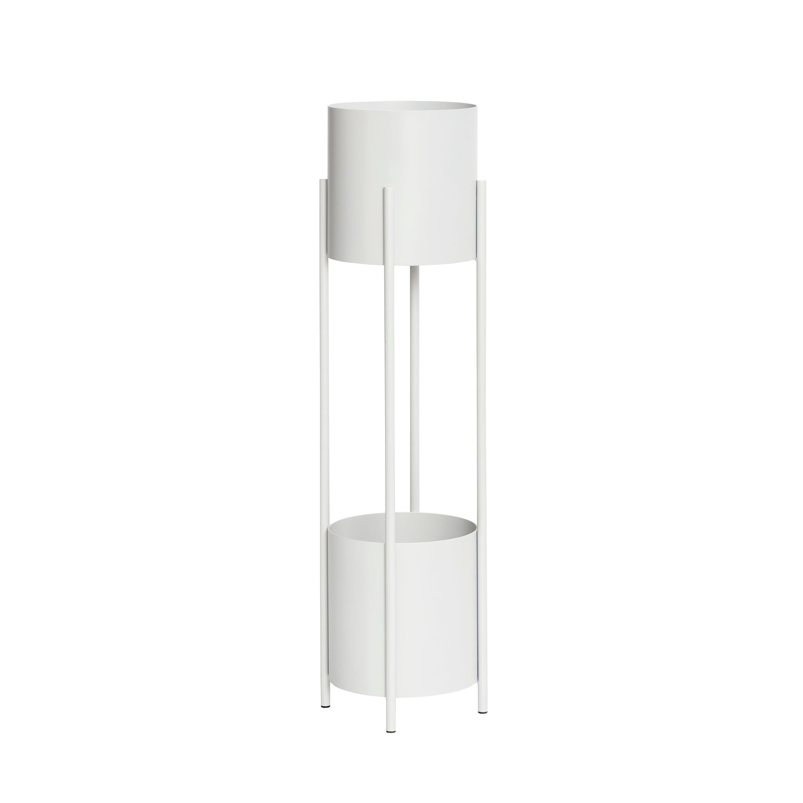 Planta de íris fica cinza claro - Ø28xh100cm