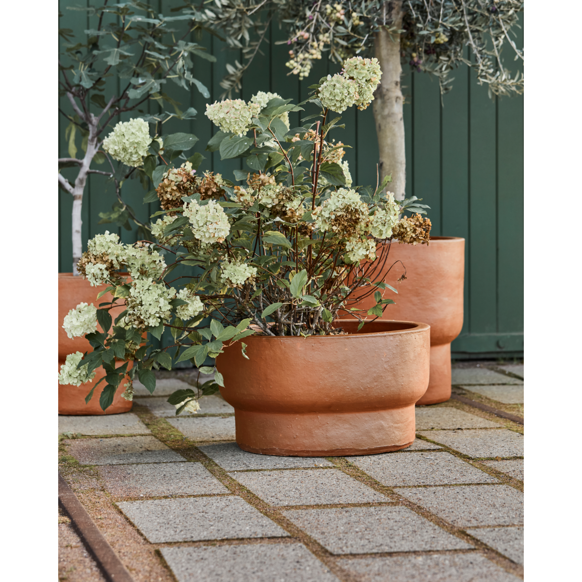 Pote de ervas, Hdterra, Antique Brown