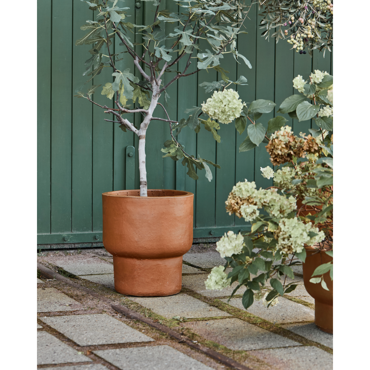 Pote de ervas, Hdterra, Antique Brown