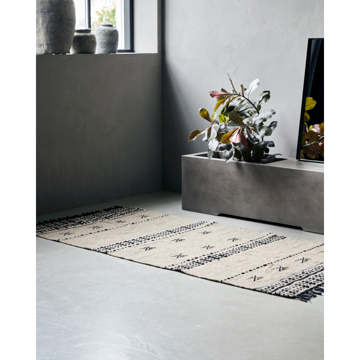 Médico da Casa - Carpet, Hdcros, verdadeiro
