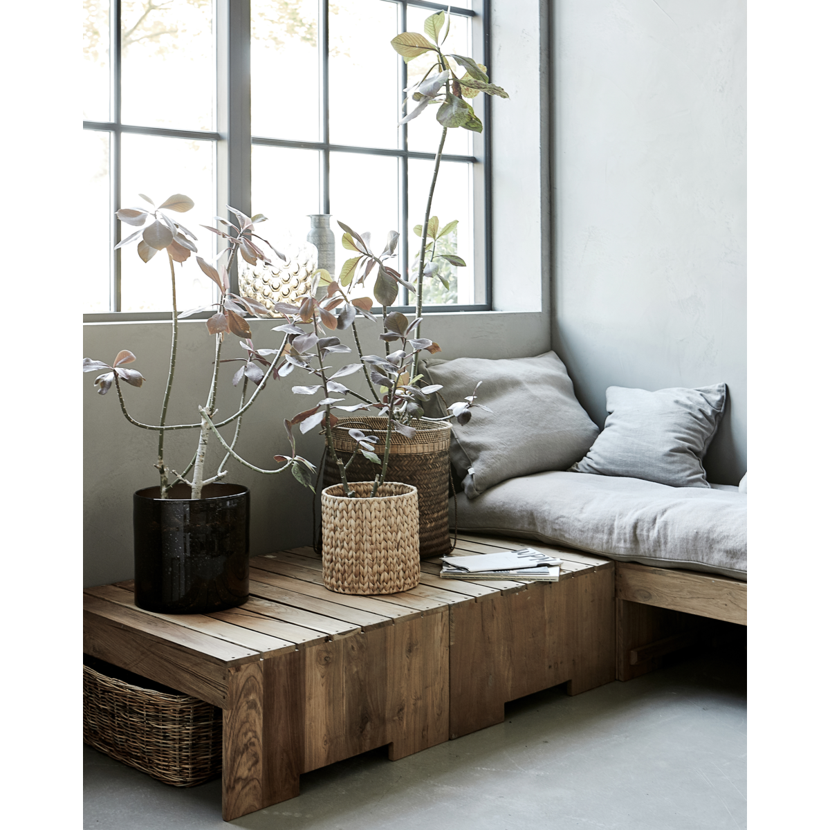 Tabela, Hdwoodie, natureza
