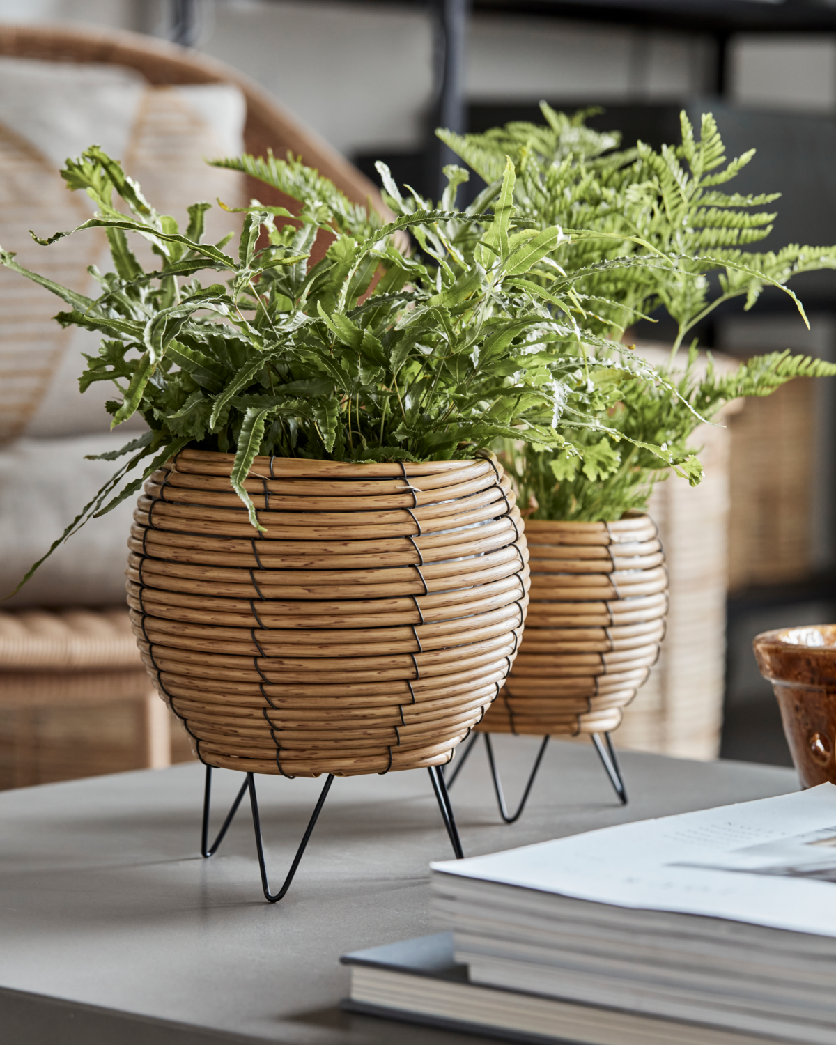 Vaso para plantas, HDGleen, Natural