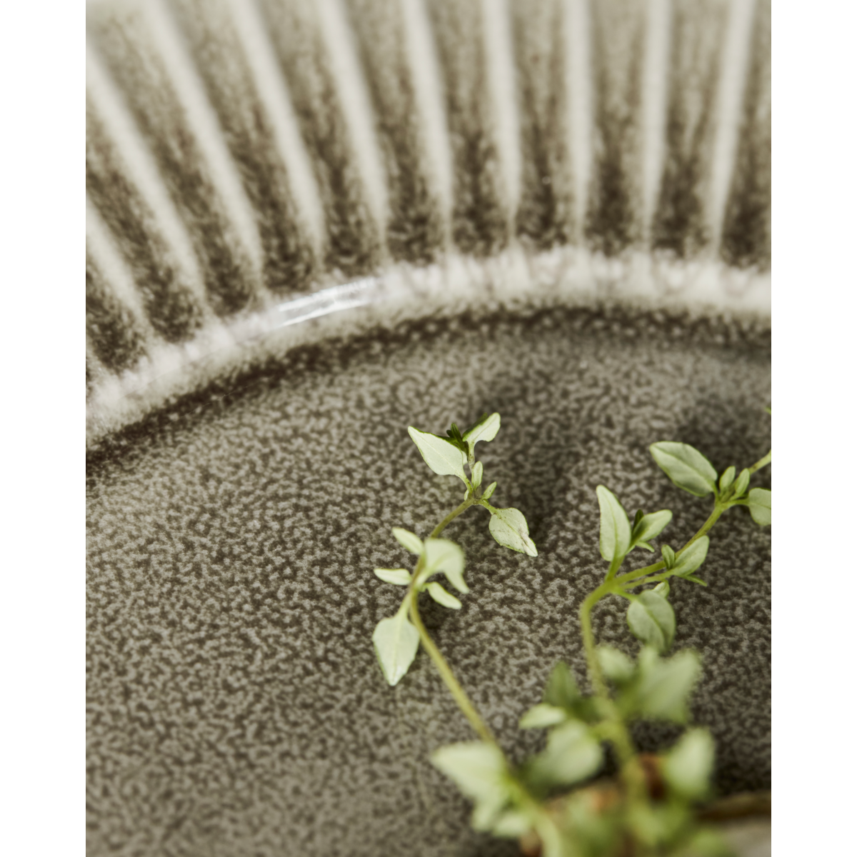 Placa de jantar, hdpleat, cinza;