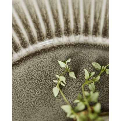 Placa de jantar, hdpleat, cinza;