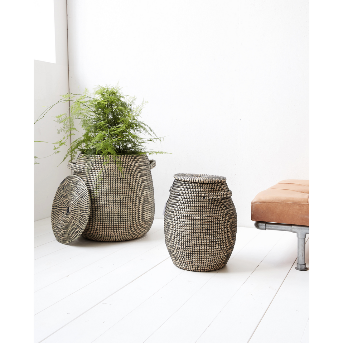 Médico da Câmara - Curva, HDEFFEITO, BLACK; Natural