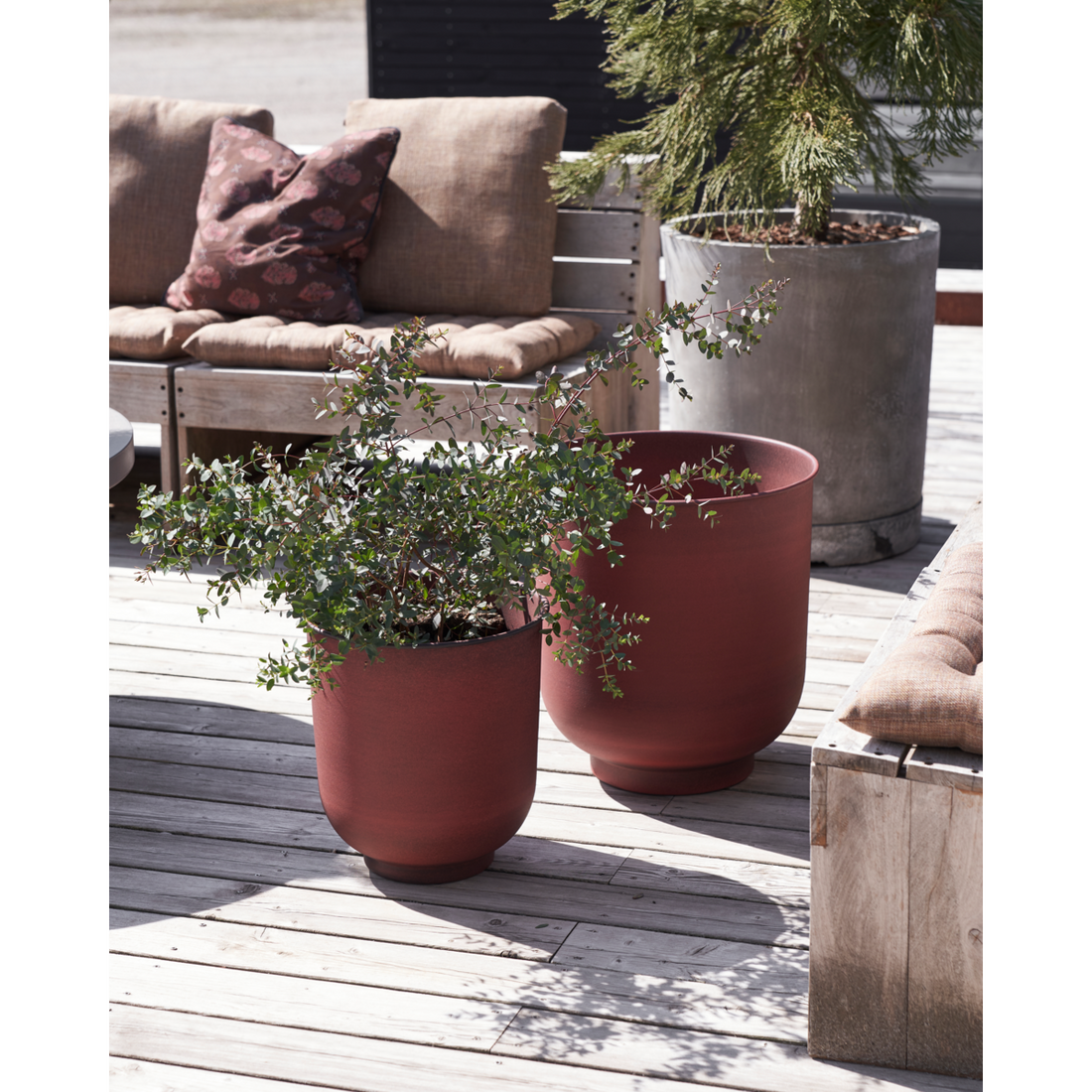 Pote de ervas, Hdvig, Henna queimada