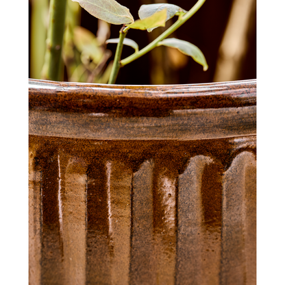 Pote de ervas, Hdgroove, Brown
