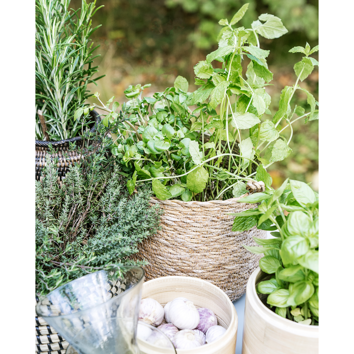 Cesta, hdhang, natureza