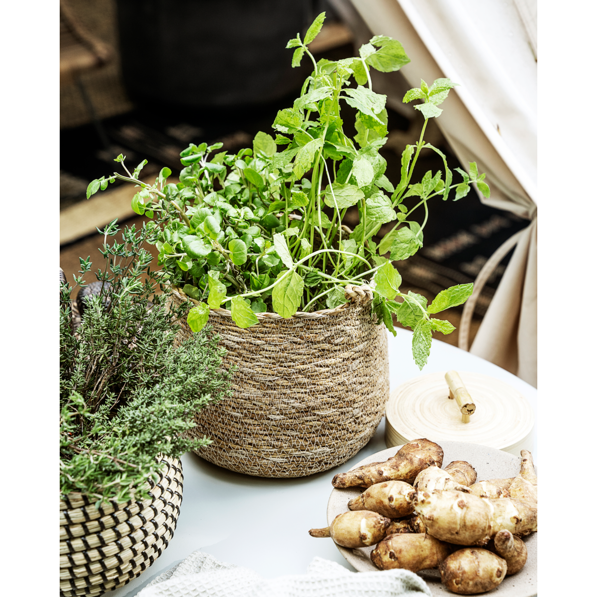Cesta, hdhang, natureza