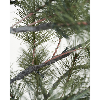 Árvore de Natal com LED, Hdpeuce, Natureza