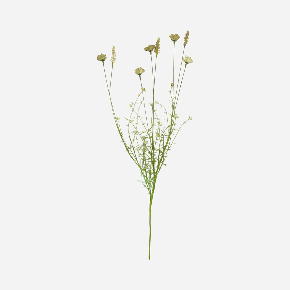 Flor do médico da casa, bege selvagem - L: 70 cm