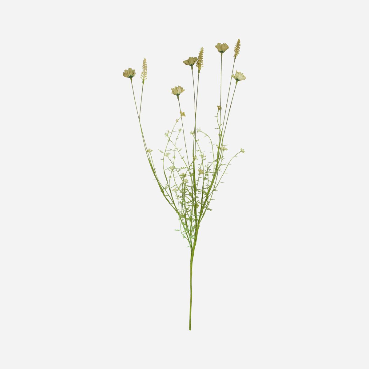 Flor do médico da casa, bege selvagem - L: 70 cm