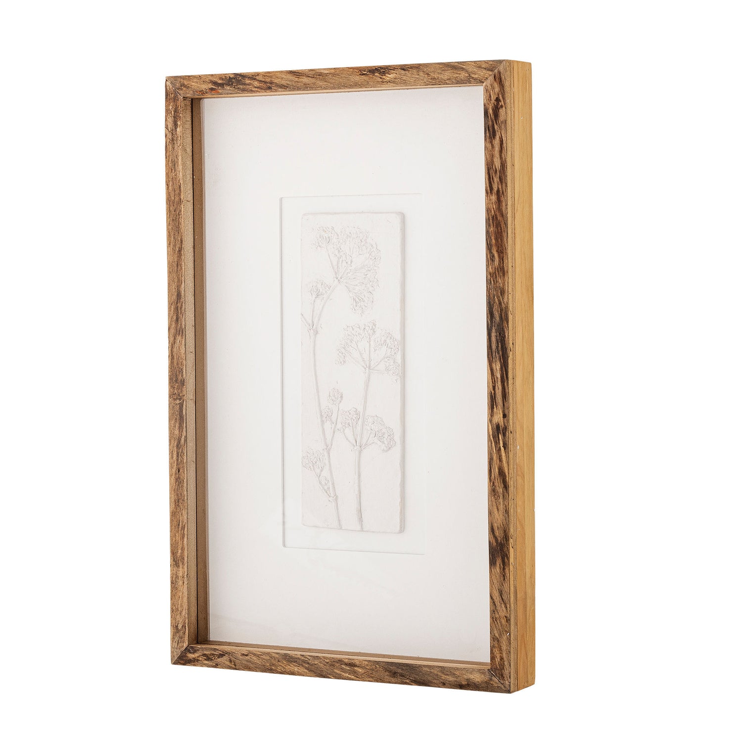 Coleção criativa Mey ilustração com quadro, natureza, pinheiro