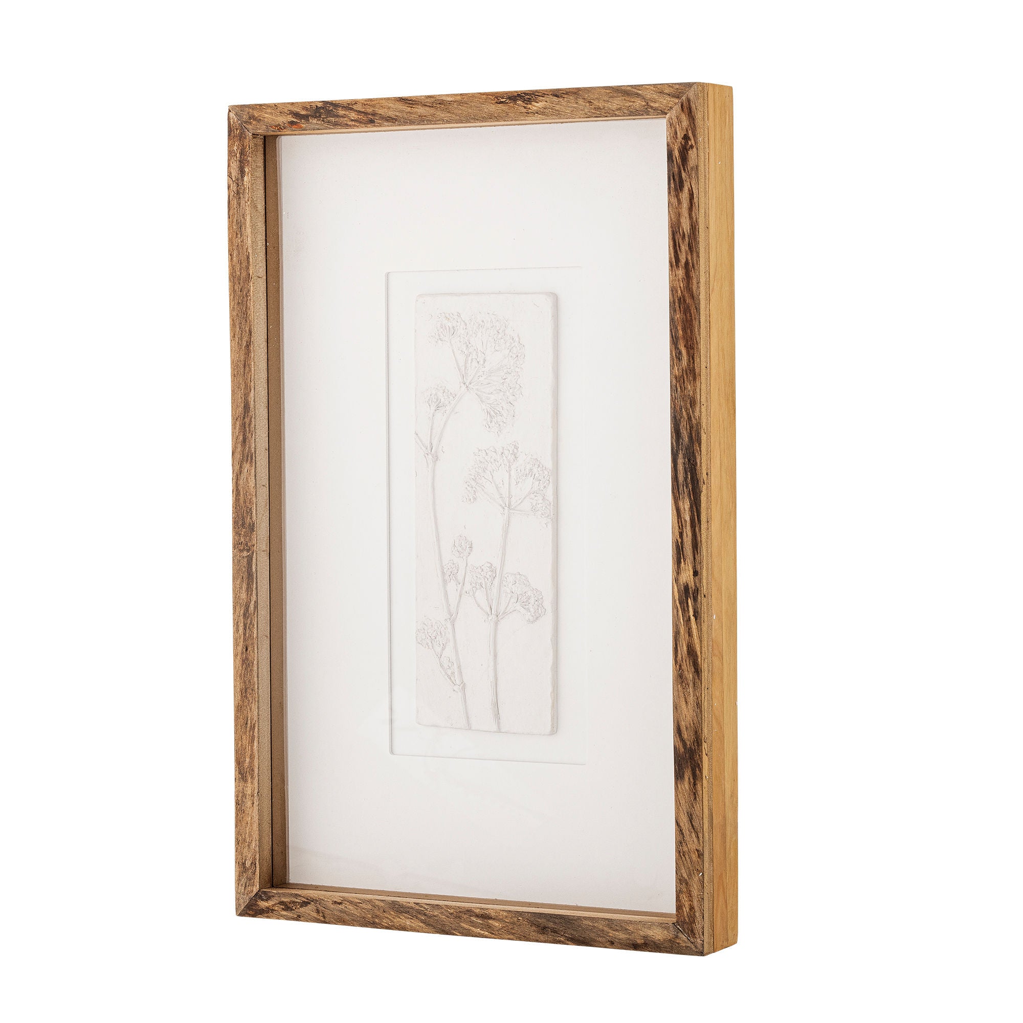 Coleção criativa Mey ilustração com quadro, natureza, pinheiro