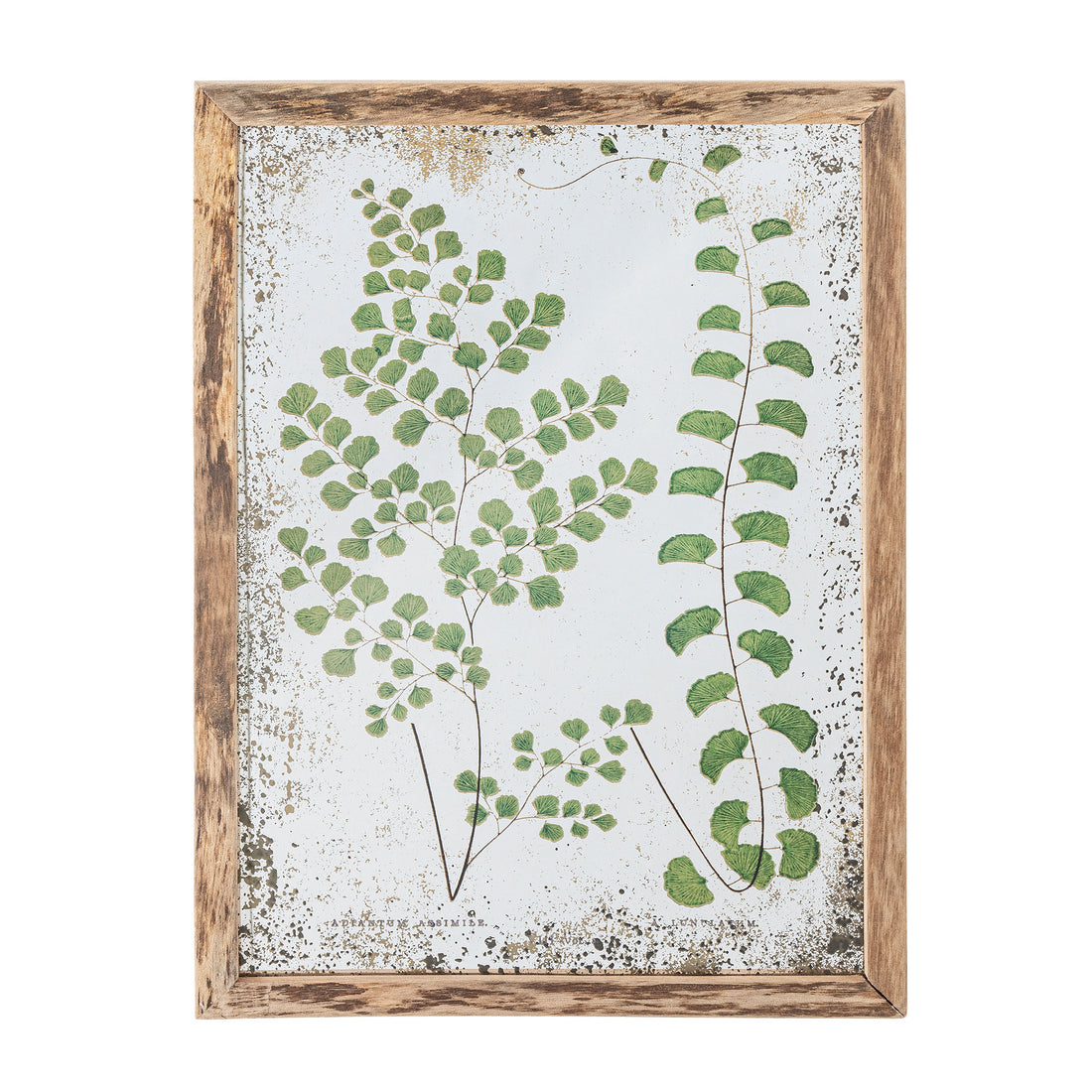 Coleção criativa Ilustração de Tipper com quadro, natureza, pinheiro