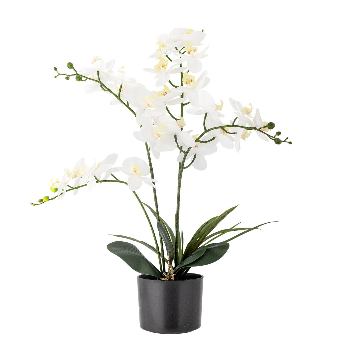 Bloomingville Orchid Plant, verde, flores artificiais