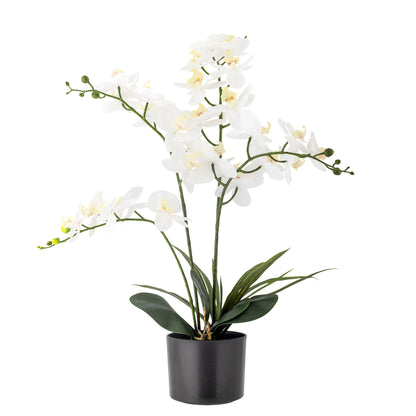 Bloomingville Orchid Plant, verde, flores artificiais