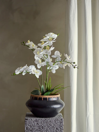 Bloomingville Orchid Plant, verde, flores artificiais