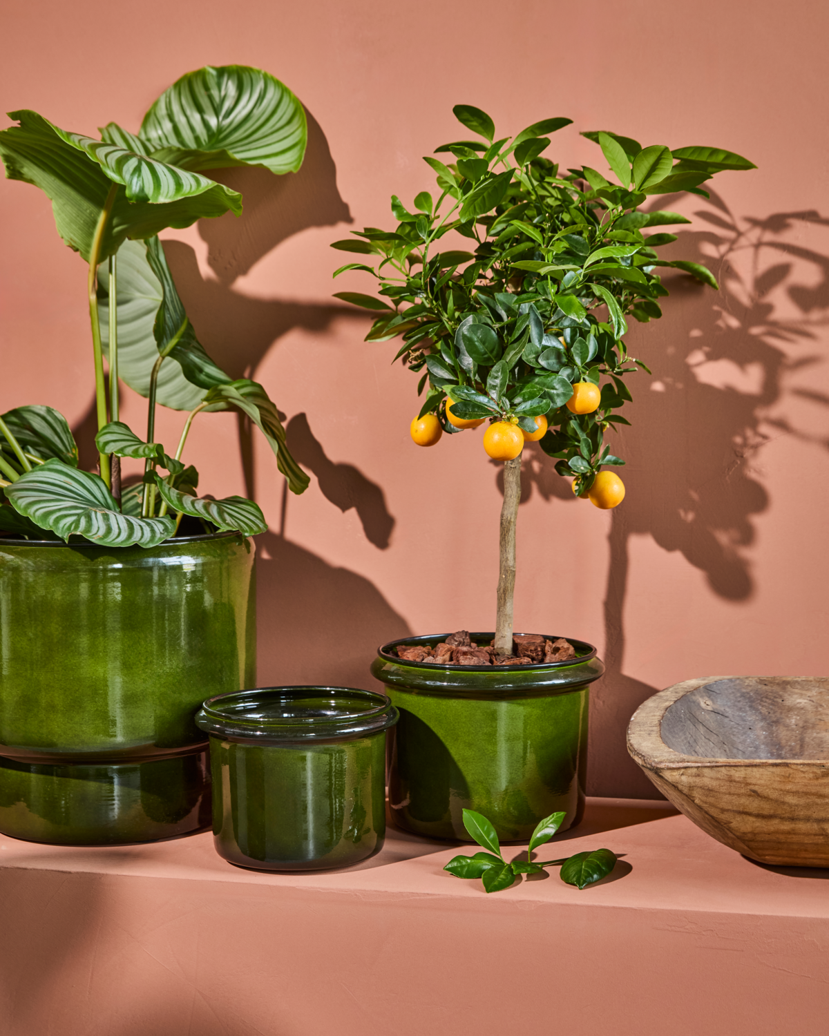 Vaso para plantas, HDHoop, Verde