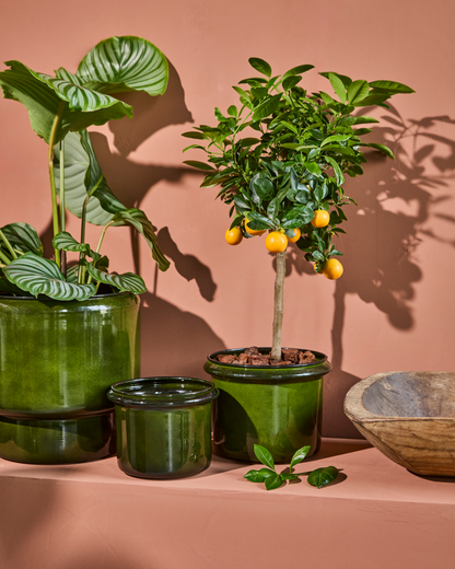 Vaso para plantas, HDHoop, Verde