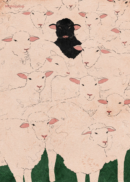 A ovelha negra