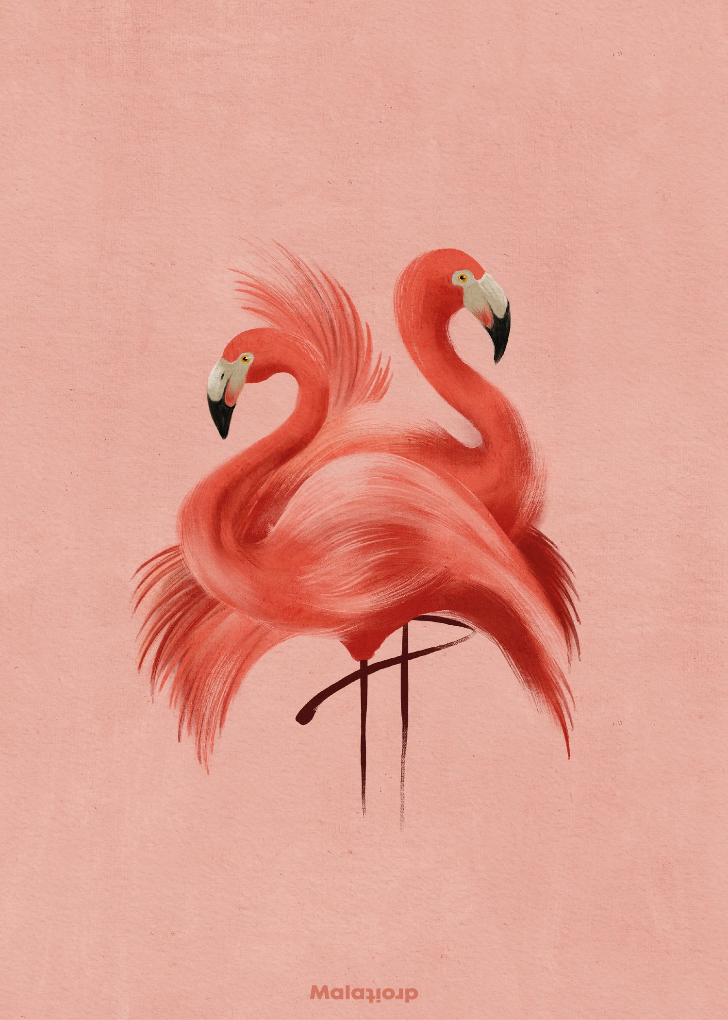 Flamingos - Maladroit - DesignGaragen.dk