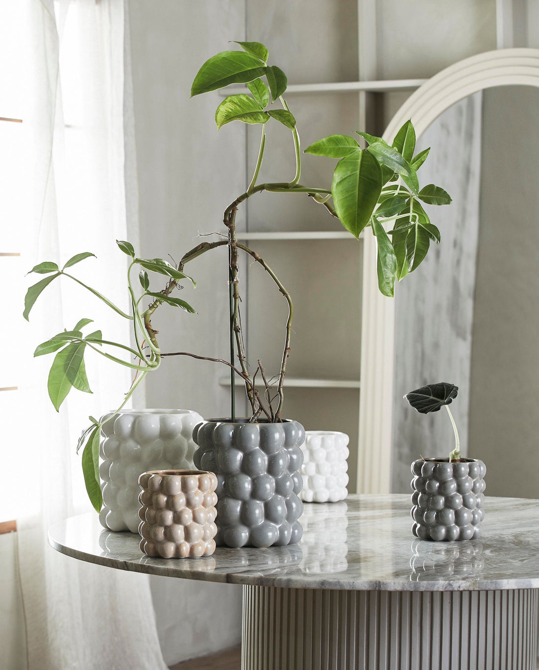 Panela de ervas carna em porcelana - pequena - Ø15,5 cm - cinza