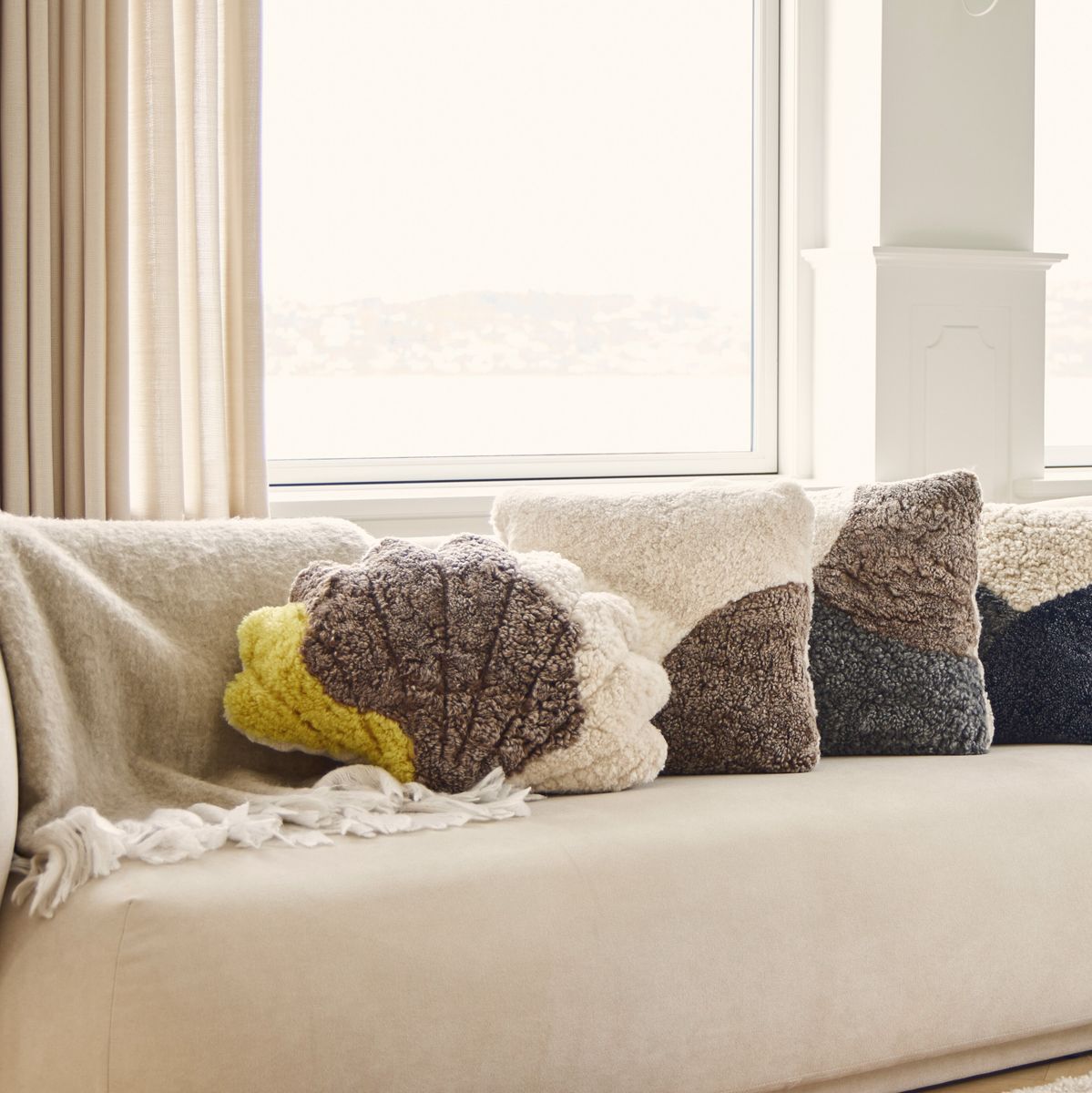 Almofada concha tricolor | Pêlo curto | Nova Zelândia