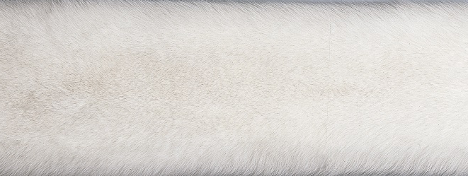 Cobertão da Fox | Volta da Caxemira |  70x230 cm