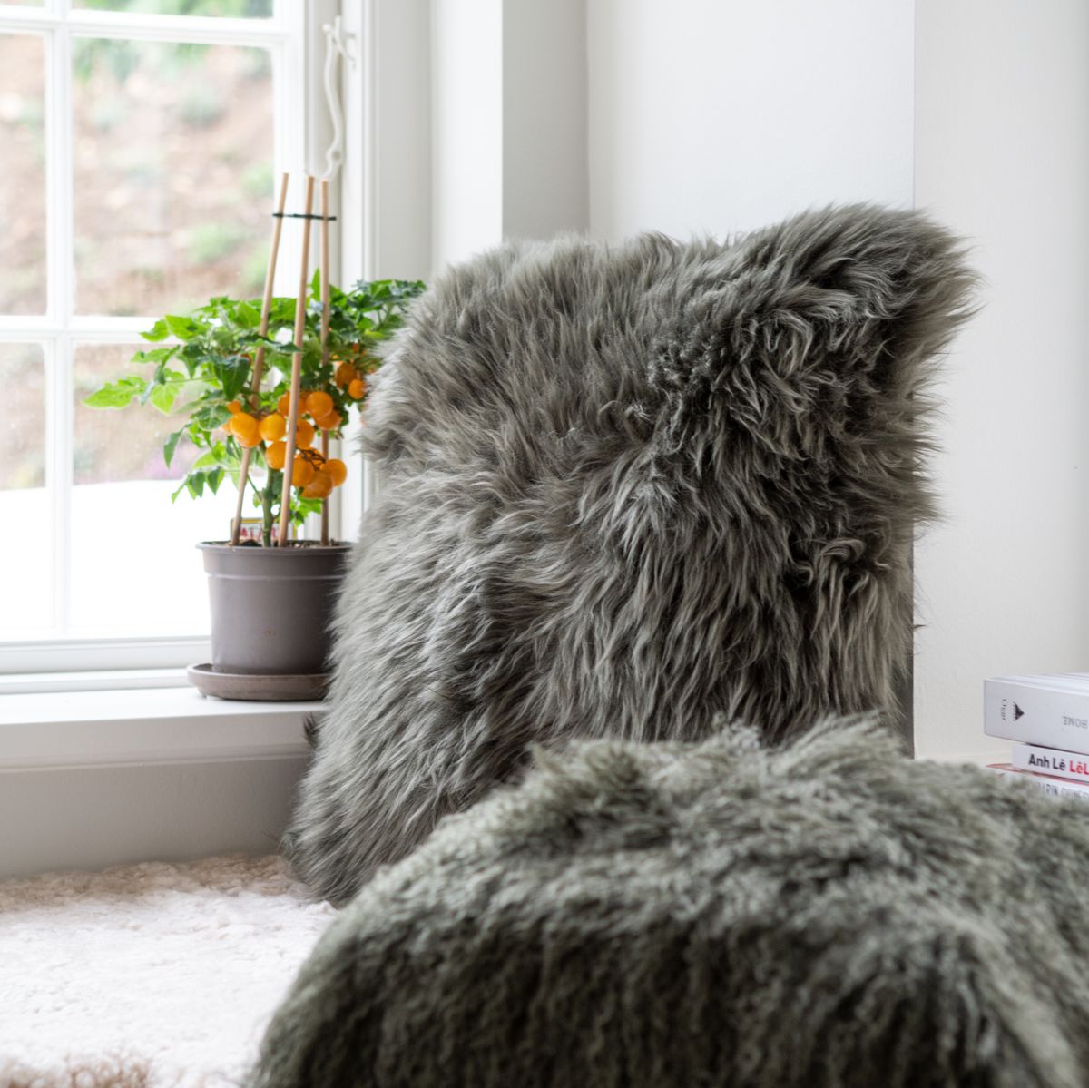 Almofada de pele de cordeiro | Cabelos compridos | Nova Zelândia | 50x50cm